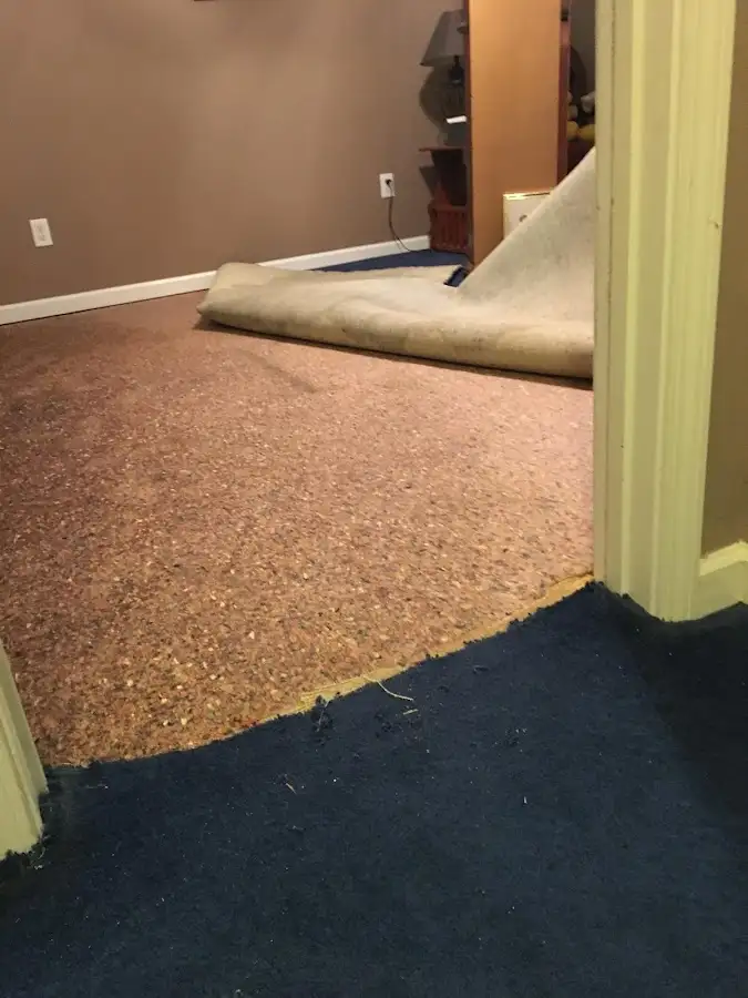 Carpet pad removal revealing water damage during Water Mitigation Services in Colorado Springs